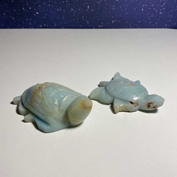 Caribbean Calcite Turtle Set - Picture 1 of 3